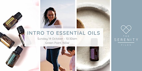 Intro to Essential Oils primary image