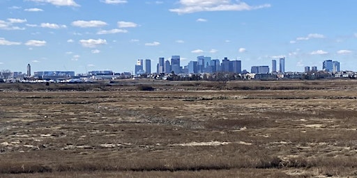 Imagen principal de Friends of the Harborwalk: Belle Isle Marsh Tour