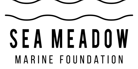 May 2023 Portland Greendrinks - featuring Sea Meadow Marine Foundation primary image