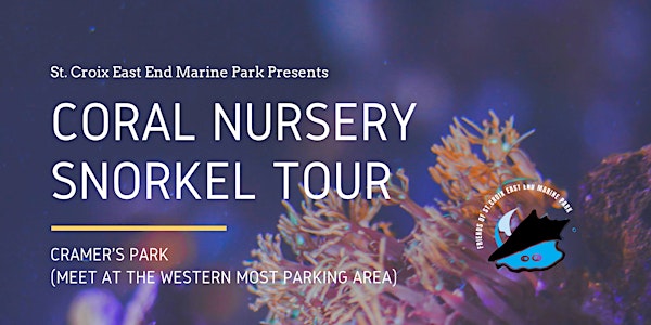 EEMP Coral Nursery Swim