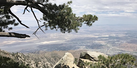 Desert View Discovery Hike