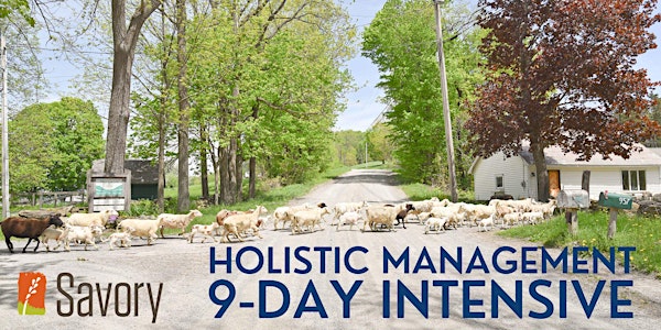 Holistic Management 9-Day Intensive - Become an Accredited Professional