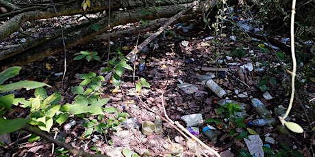 Sun 14th Oct 2018: ICCS - Sungei Mandai Kechil mangrove cleanup primary image