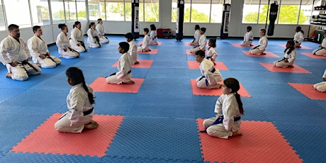 Free Karate Lesson primary image