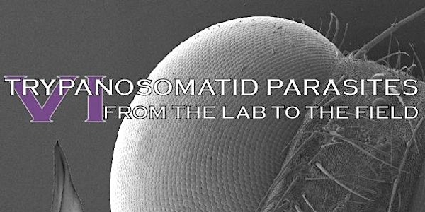Trypanosomatid Parasites Meeting VI: From the lab to the field