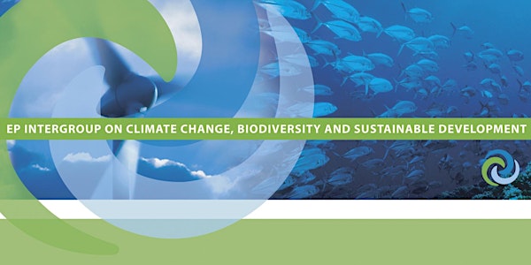 Marine litter: What role for Extended Producer Responsibility (EPR)?