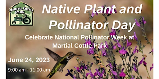 Native Plant and Pollinator Day Walk primary image