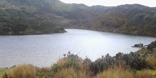 Rights of Nature: Shifting Paradigms and Grounding in the Law