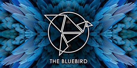 The Birds Nest Ft 4Bang & Friends @ The Bluebird Reno