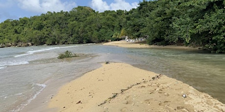 A Jamaican Estuary Listening Experience (SOUND SCENE 2023)