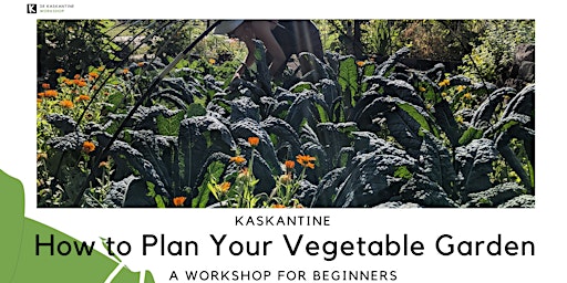 How to Plan Your Vegetable Garden