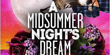 A Midsummer Night's Dream primary image