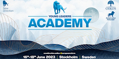 Young Leaders Academy: Sweden