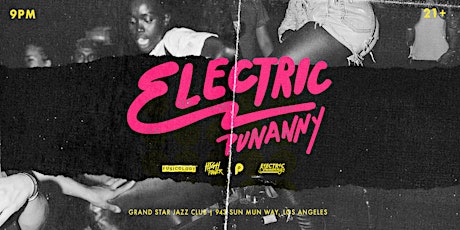 Electric Punanny primary image