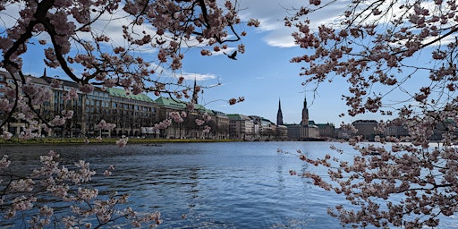 Das Systemische Netzwerk frühstückt in Hamburg (Sommerfest 2024)  primärbild