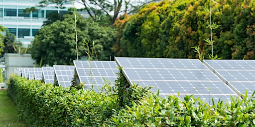 Renewable Energy and Nature Recovery
