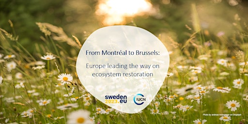 From Montréal to Brussels: Europe leading the way on ecosystem restoration primary image