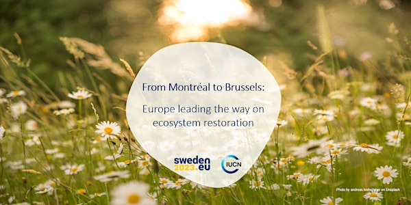 From Montréal to Brussels: Europe leading the way on ecosystem restoration