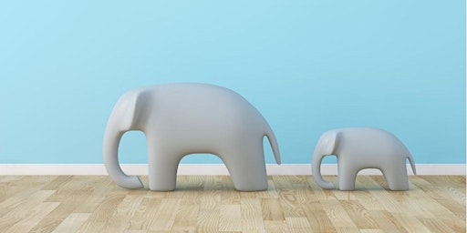 Immagine principale di The Facilitation Space - Exploring Elephants in the Room 