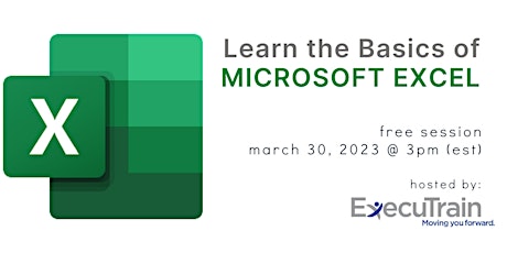 Learn the Basics of Microsoft Excel