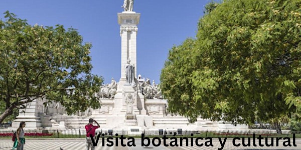Paseo cultural y botánico por la plaza España