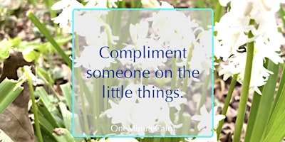 Imagen principal de Mindful Motivation Online Workshop | Compliment the Little Things
