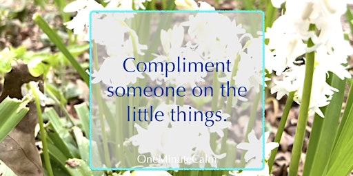 Mindful Motivation Online Workshop | Compliment the Little Things primary image