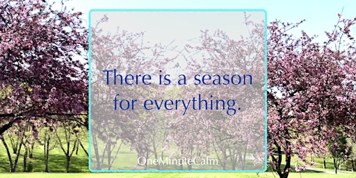 Hauptbild für Mindful Motivation Online Workshop | Season for Everything