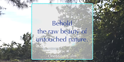 Hauptbild für Mindful Motivation Online Workshop | Raw Beauty