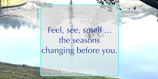 Hauptbild für Mindful Motivation Online Workshop | Feel, See, Smell the Seasons