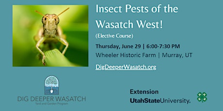 Primaire afbeelding van Insect Pests of the Wasatch  West! (Elective Course)