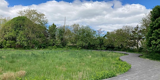 Imagem principal do evento A Meadow Grows in Brooklyn: The Naval Cemetery Landscape Jane's Walk