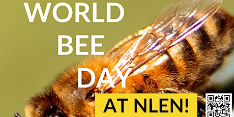 World Bee Day at NLEN!