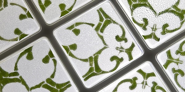 William Myers, "Biodesign and Bioart: From Inspiration to Integration"