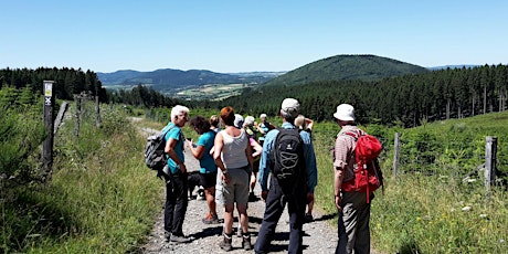 Hauptbild für Wanderwoche Sauerland: 4 entspannte, geführte Tagestouren im Rothaargebirge