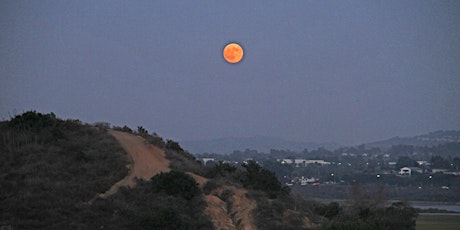 Image principale de Family Full Moon Night