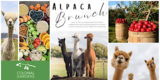 Father's Day Alpaca Brunch primary image