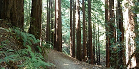 Oakland Nature Friends Hike: Redwood Regional Park primary image