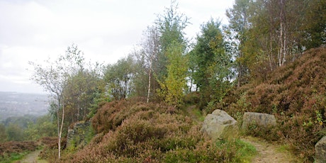 Restoring Heathland - Taking care of a beautiful place primary image