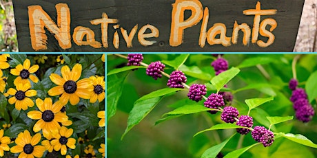 Lakeland Learn & Grow: Growing Native "Plant This, Not That"  primärbild