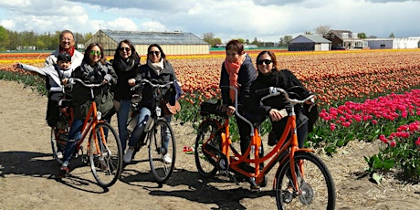 Primaire afbeelding van Keukenhof flower field bike tour +visit tulip farm