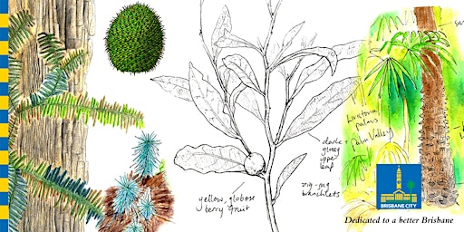 Imagem principal de World Enviro Day - A nature journaling adventure :Plants in Space and Time