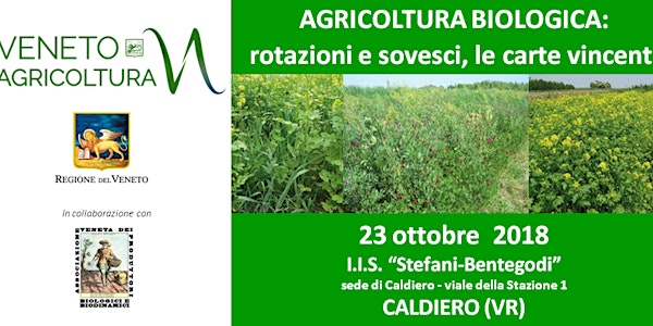AGRICOLTURA BIOLOGICA: rotazioni e sovesci