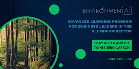 Advanced learning program for business leaders in the aluminium sector