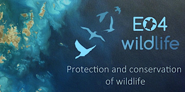 EO4wildlife Final Event