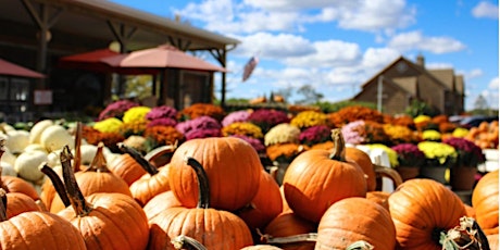 Pumpkin Festival at Butler’s Orchard primary image