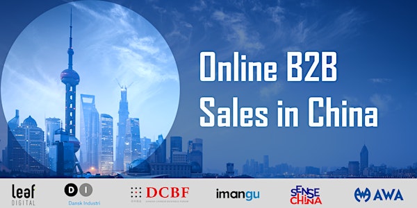 Online B2B Sales in China
