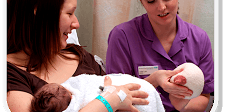 Antenatal Colostrum Harvesting (ON LINE)