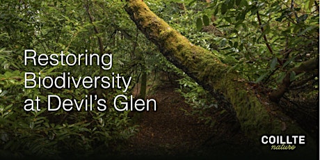 Imagen principal de Biodiversity Walk at the Devil's Glen Woodland