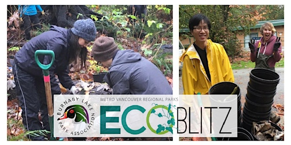 Burnaby Lake Park Association - EcoBlitz October 14, 2018